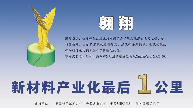山梨酸钾防腐剂：揭秘其价格背后的考量因素**